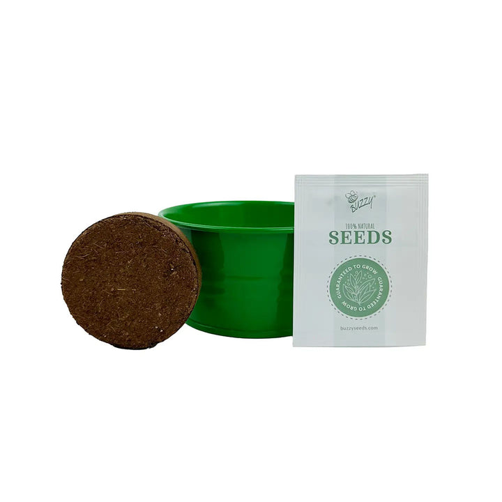 Buzzy Seeds Kids Mini Basin - Strawberry Grow Kit
