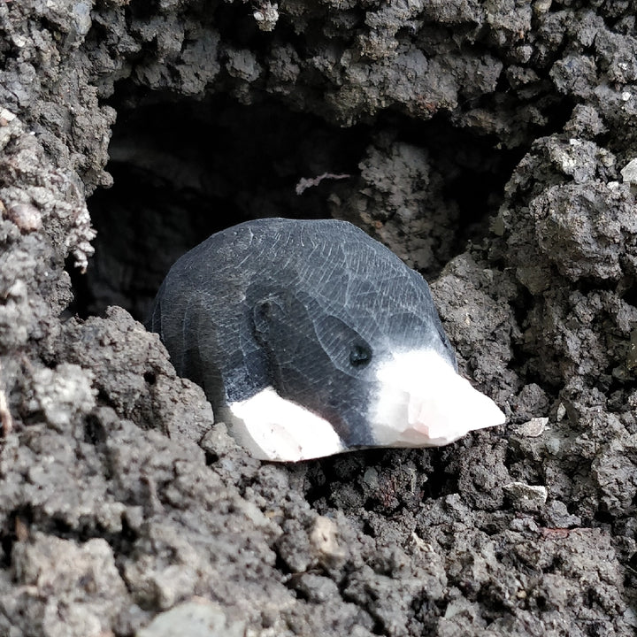 Wooden Mole Animal Toy