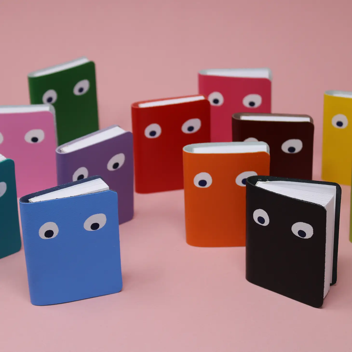 Mini Leather Googly Eye Pocket Notebook- Colors Available!