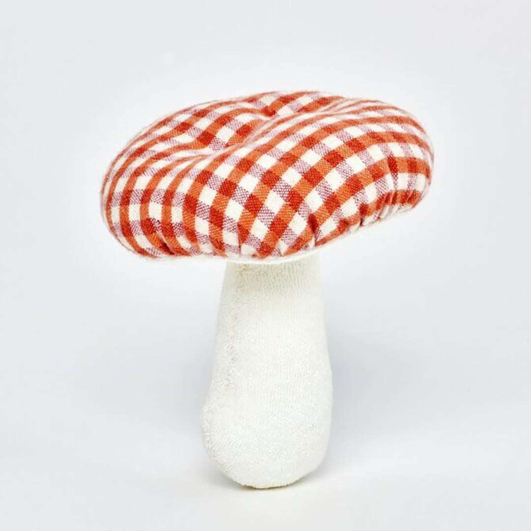 Mushroom Grasping Toy
