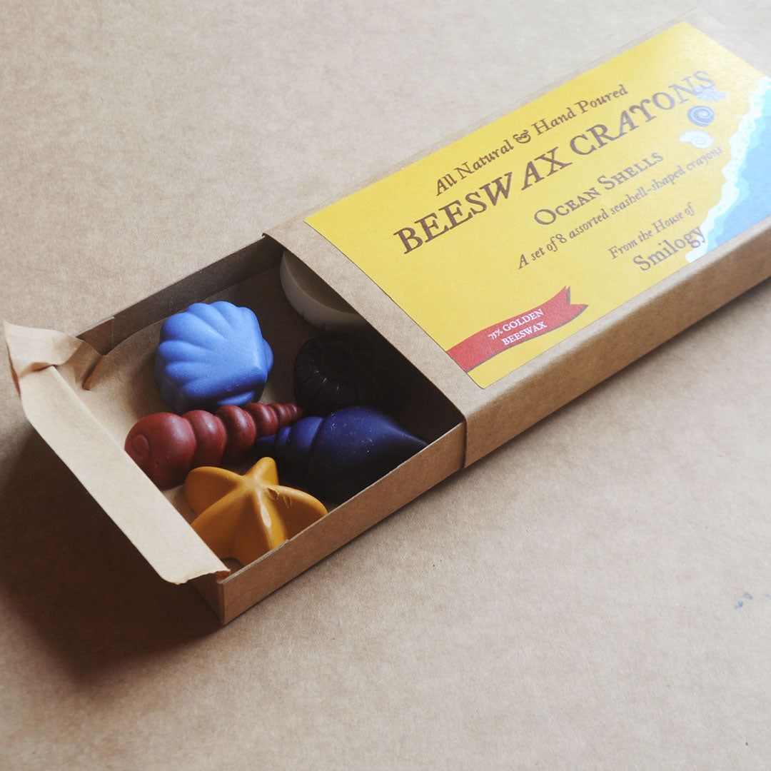 NEW Ocean Shells 8 Natural Beeswax Seashell Crayons