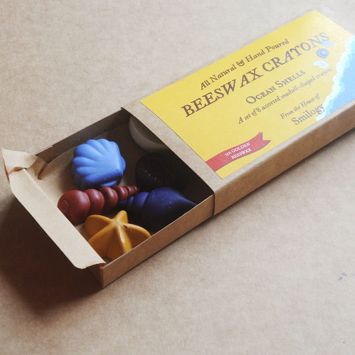 NEW Ocean Shells 8 Natural Beeswax Seashell Crayons