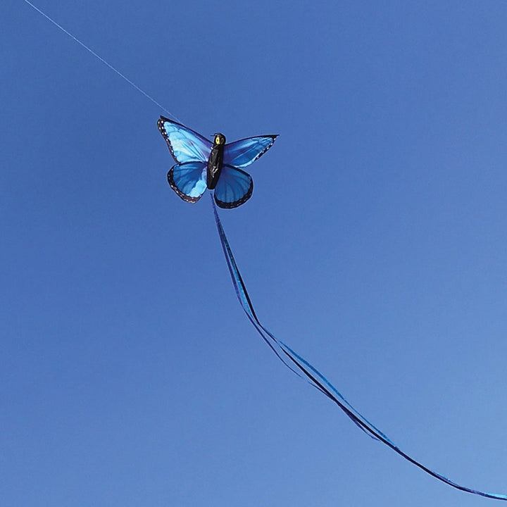 Blue Morpho Butterfly Kite
