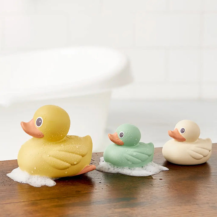 Duck Family of 3 Set
