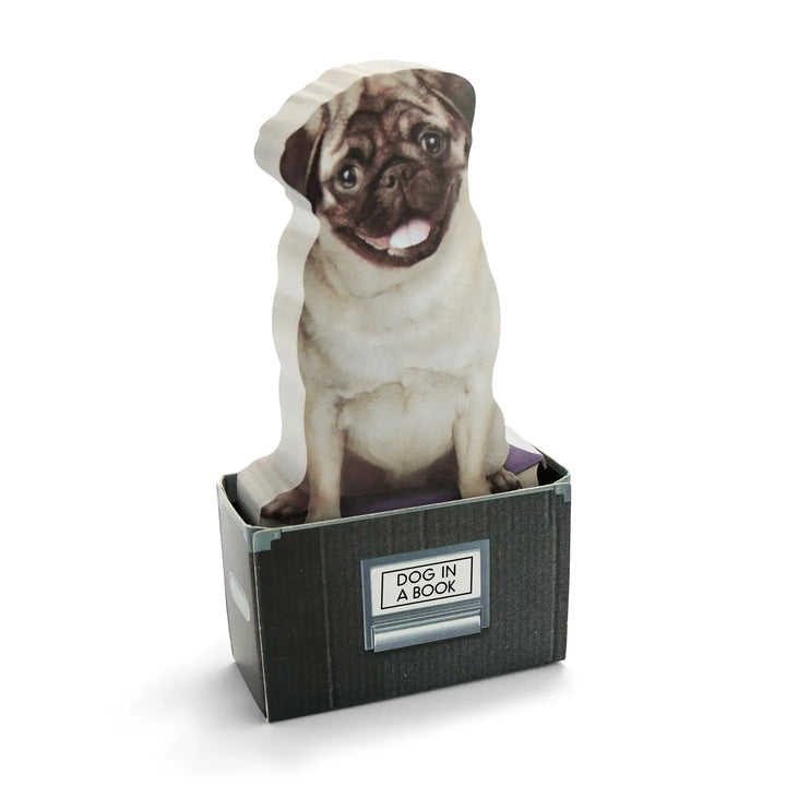 Dog in A Box Sticky Notes