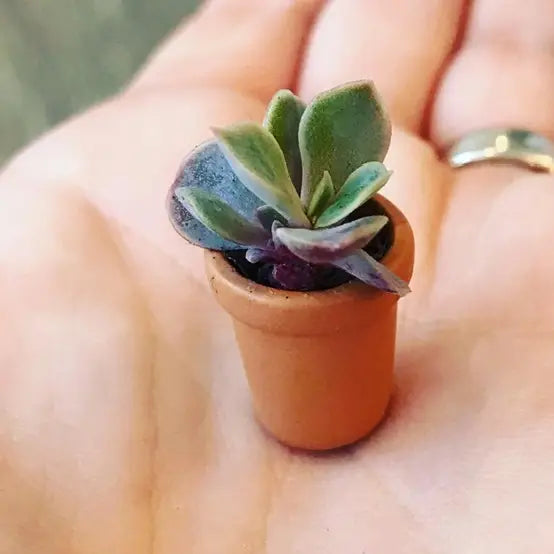 Dollhouse Miniatures:  Faux Terra Cotta Clay Look Pots (Pack of 8)