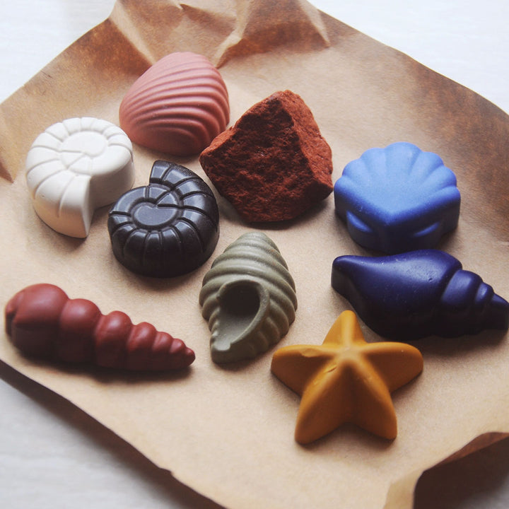 NEW Ocean Shells 8 Natural Beeswax Seashell Crayons