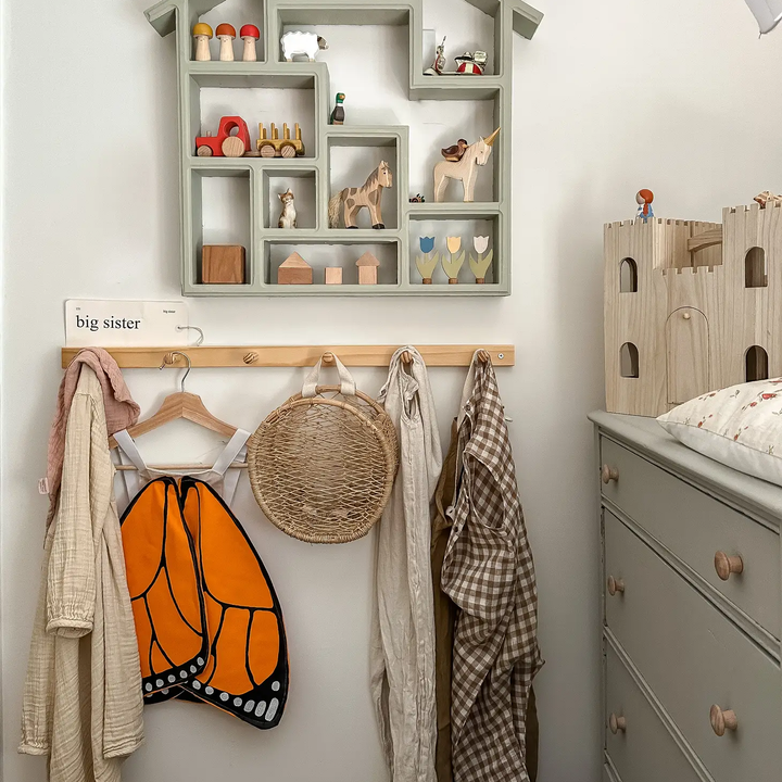 Monarch Butterfly Wings