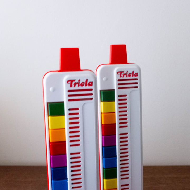 Triola Wind Instrument - Educational Toy