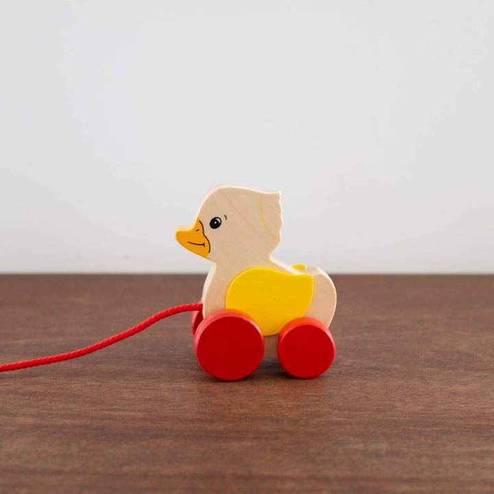 Mini Duck Pull Along Toy