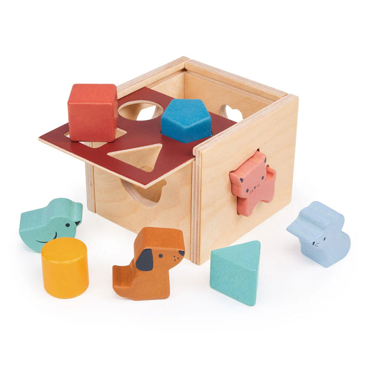NEW Bambino Shape Sorting Cube