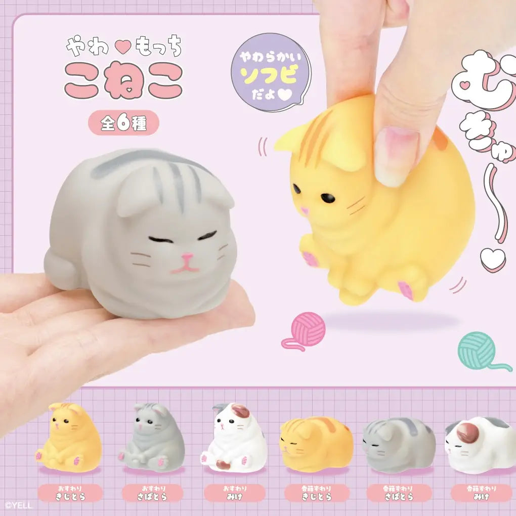 Soft Kitten Cat Blind Box