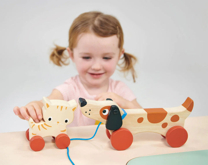 NEW Wooden Puppy on Wheels