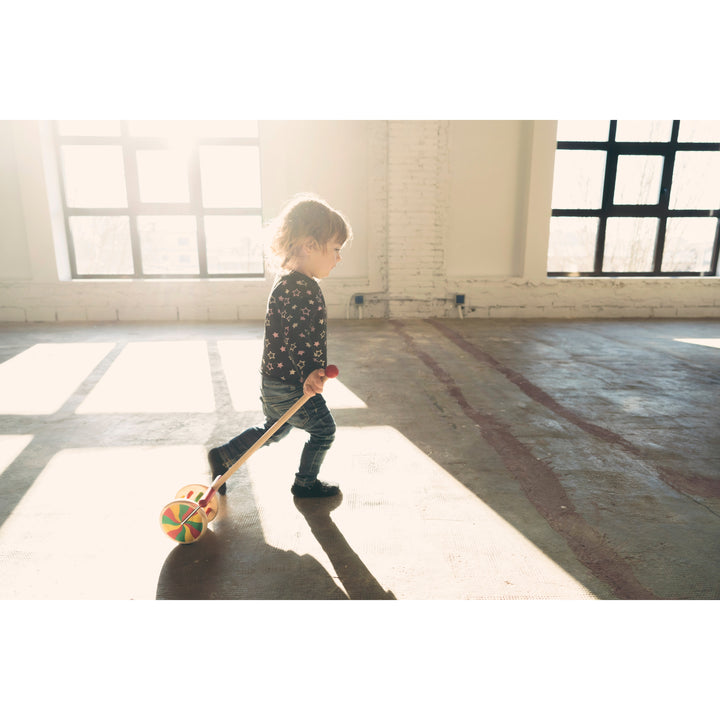 NEW Classic Push Walk Along Toy