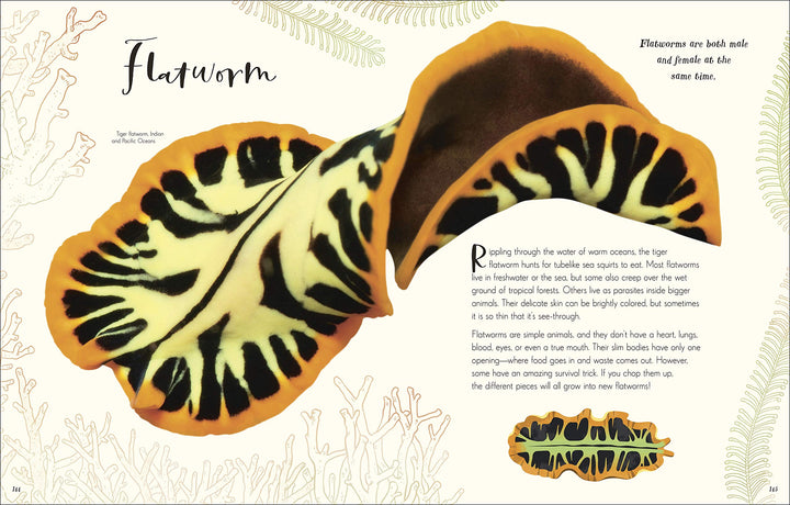 Wonders of Nature Book