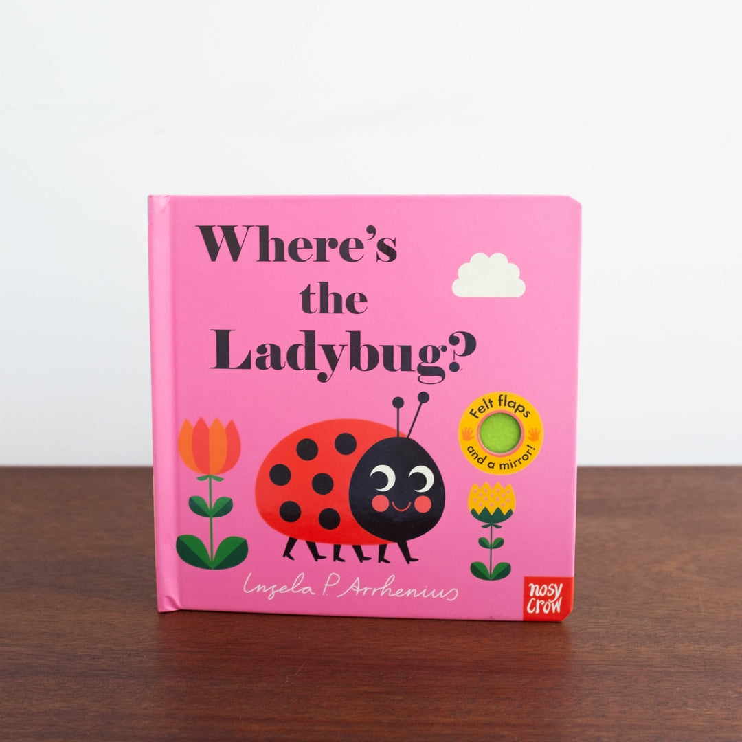 Where's the Ladybug? Book