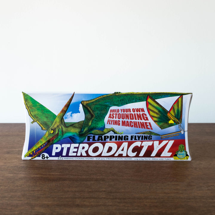Pterodactyl Flying Machine