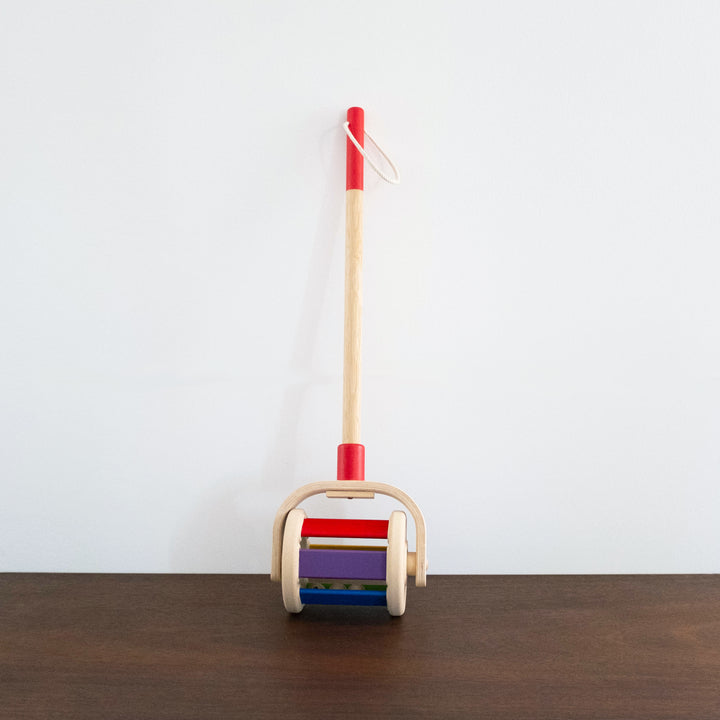 Walk and Roll Push Toy
