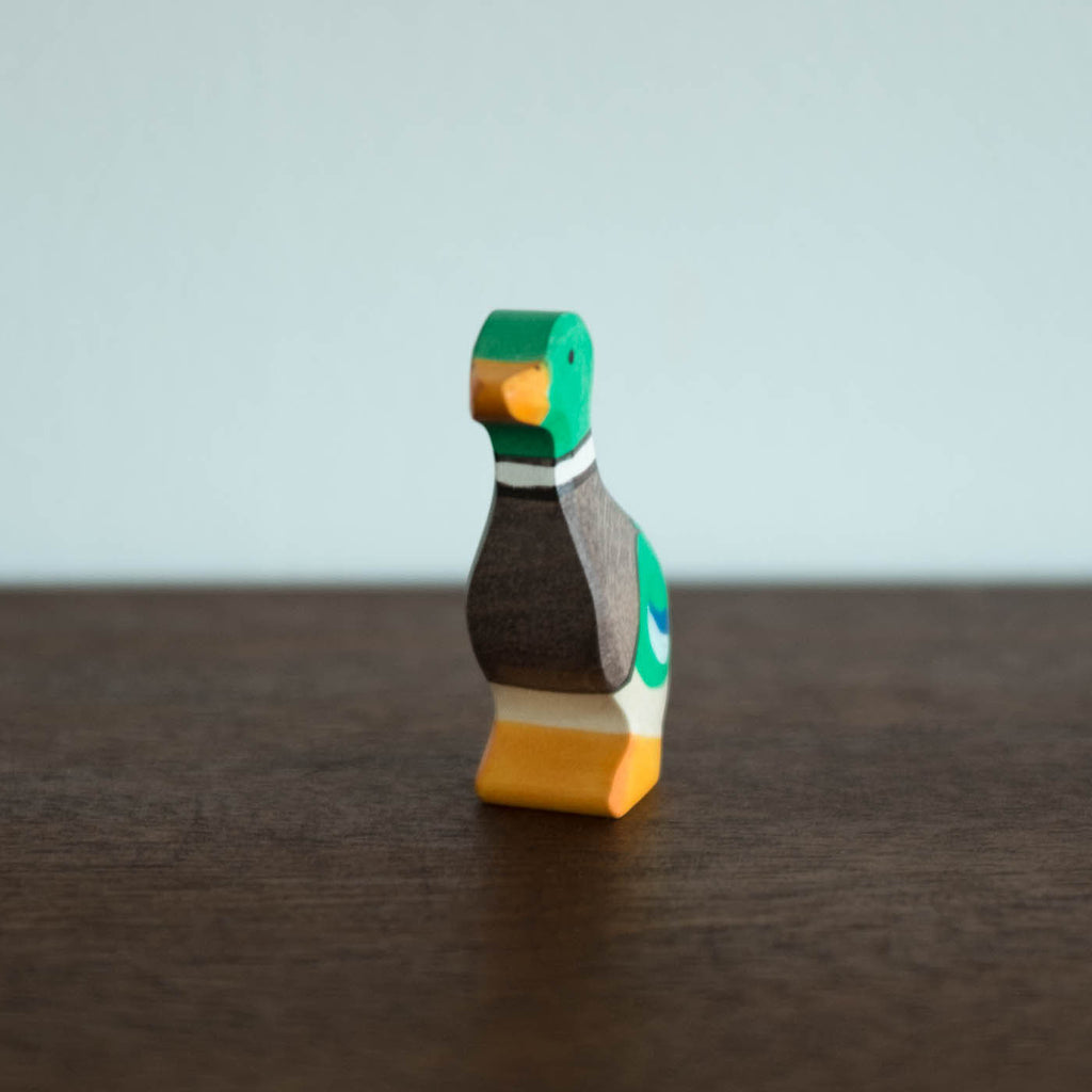 Holztiger Drake Duck