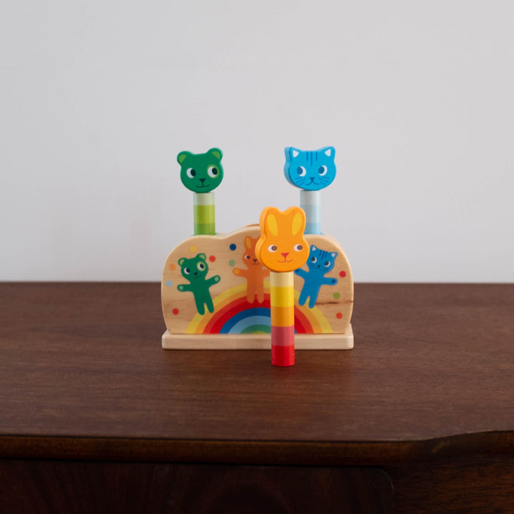 NEW Wooden Popi Rainbow Pop Up Toy