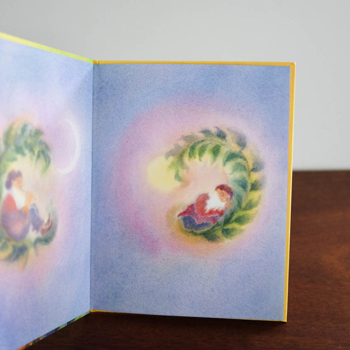 Pico the Gnome Book