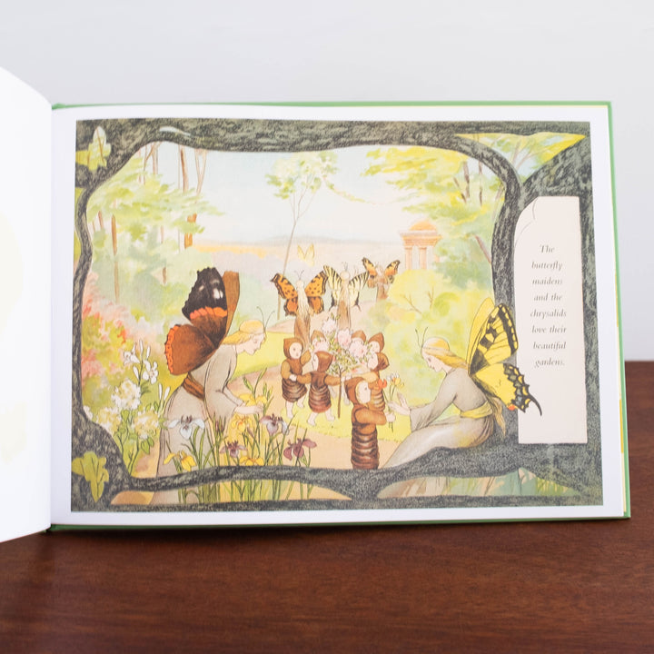 The Story of the Butterfly Children Book- Two Sizes Available!