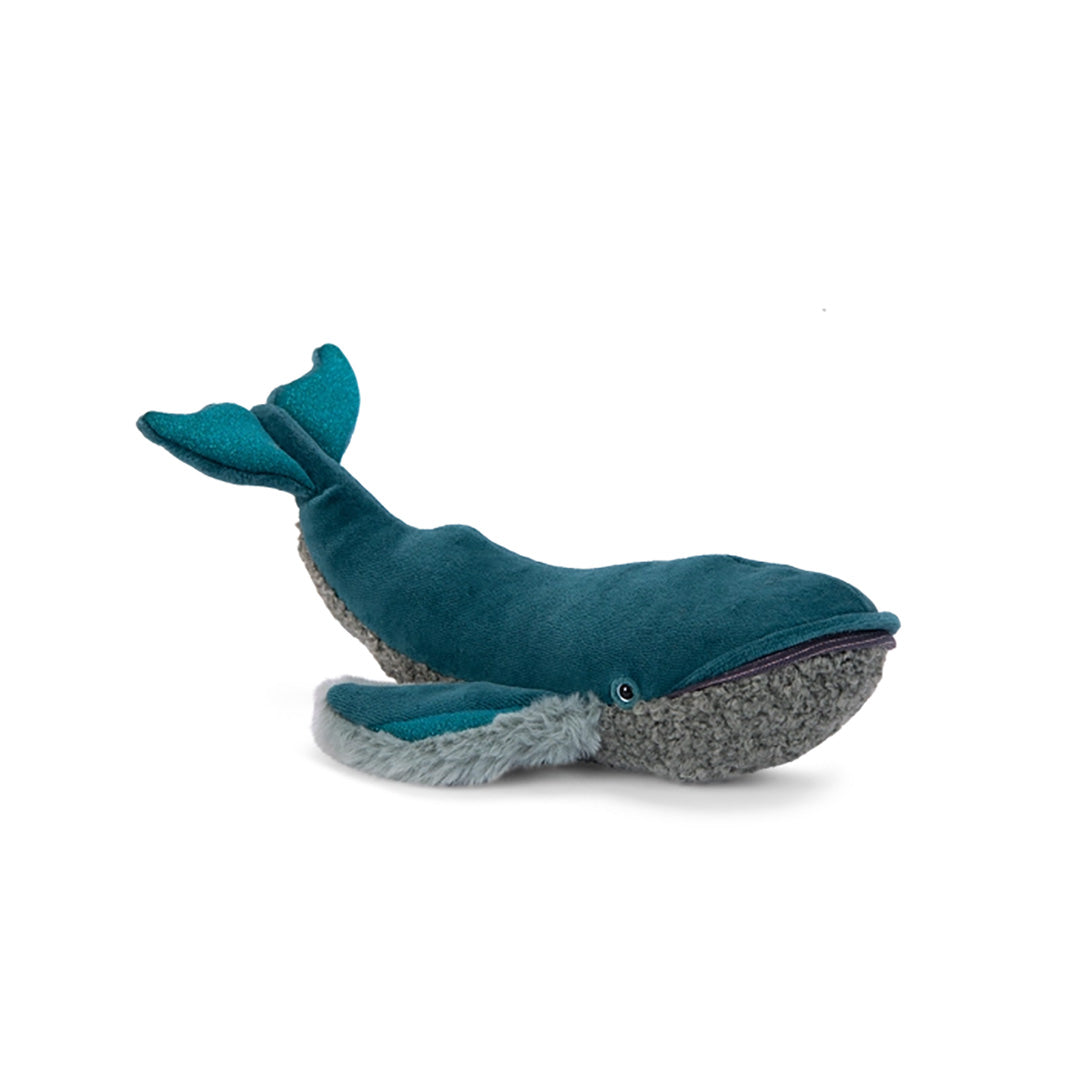 Whale (small) - All Around the World