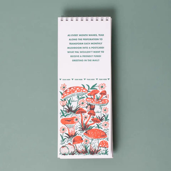 2027 Gnomes & Mushrooms Postcard Wall Calendar Phoebe Wahl