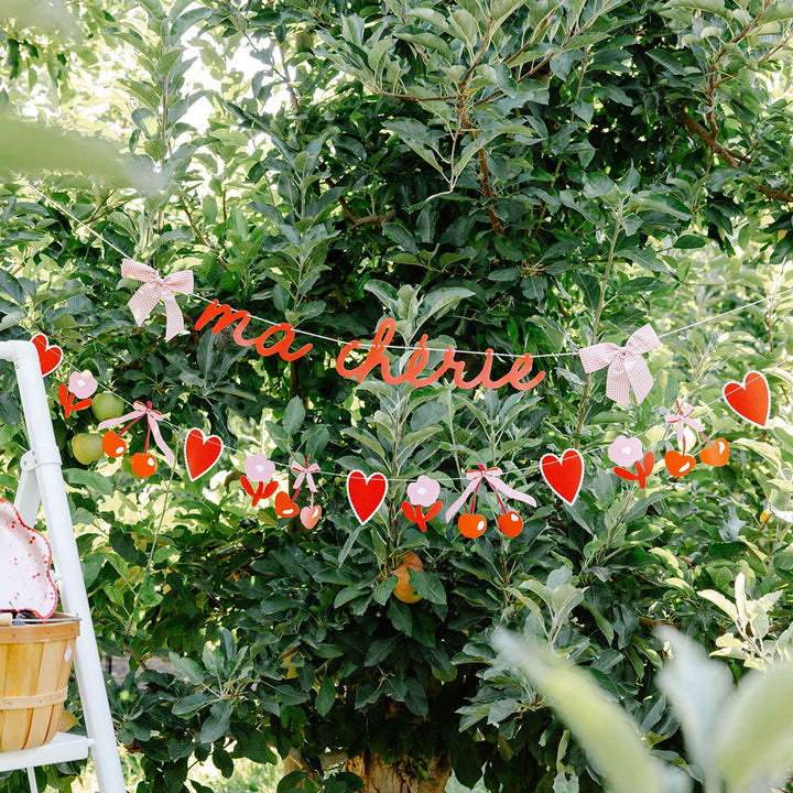 Ma Cherie Banner Set