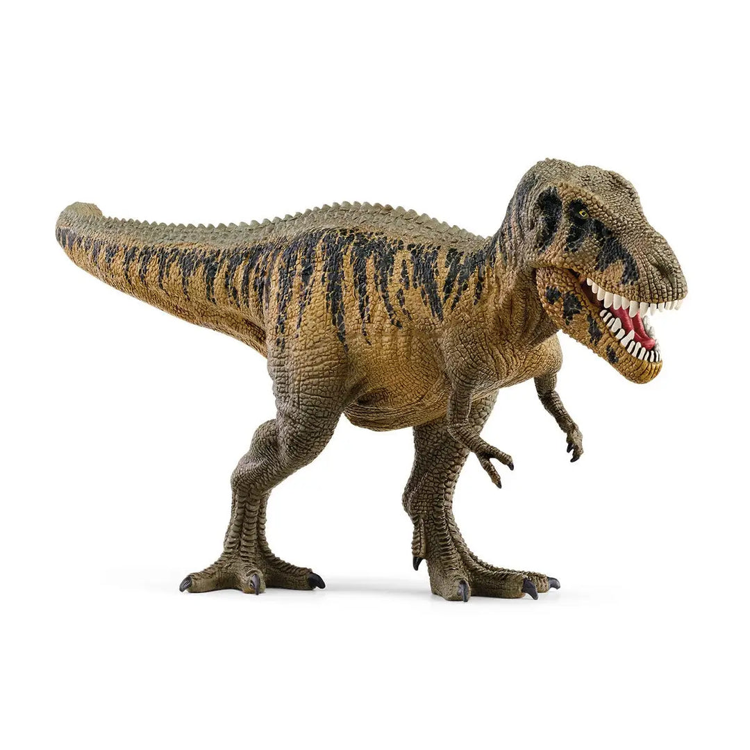 Tarbosaurus Dinosaur Toy