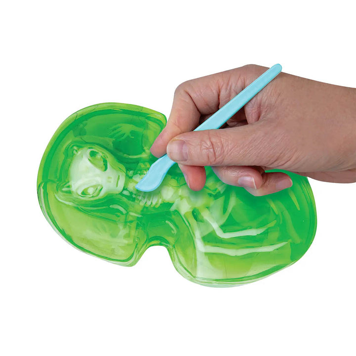 Goo-Natomy Alien