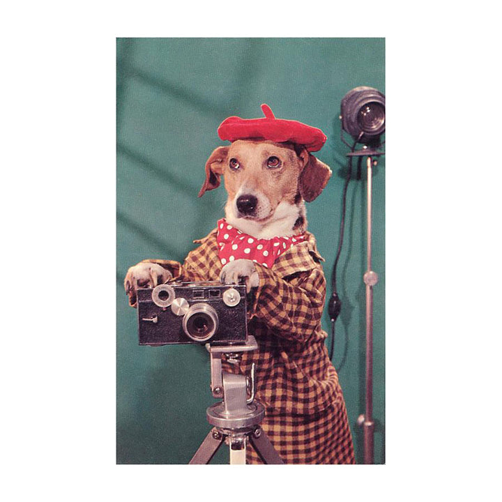 Postcard - Photographer Dog, Retro