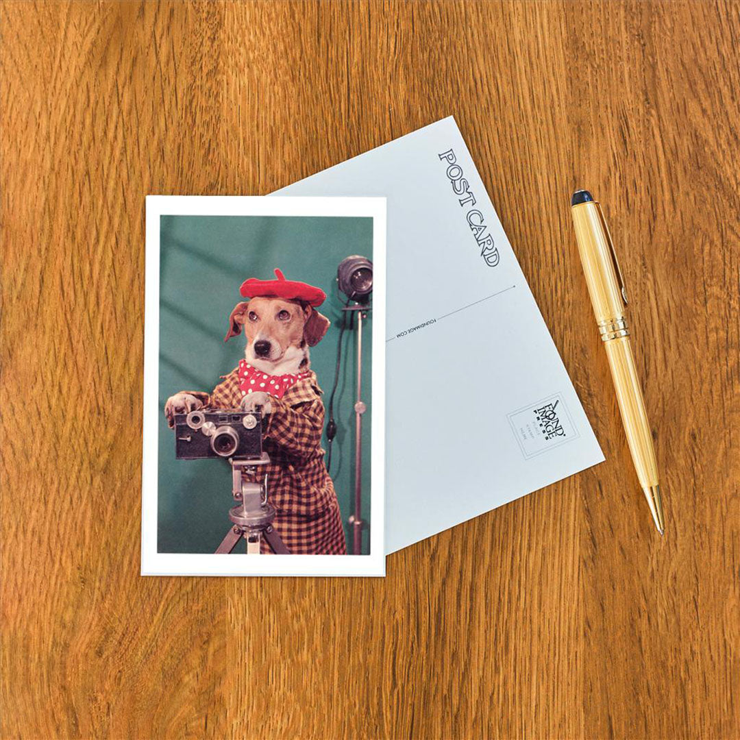 Postcard - Photographer Dog, Retro