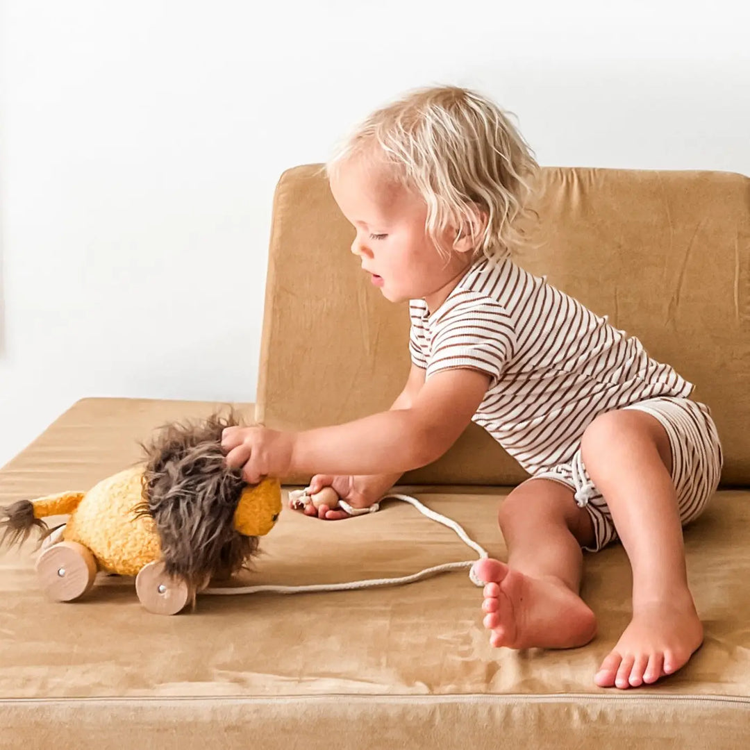 Baby Lion Pull Toy with Wooden Wheels