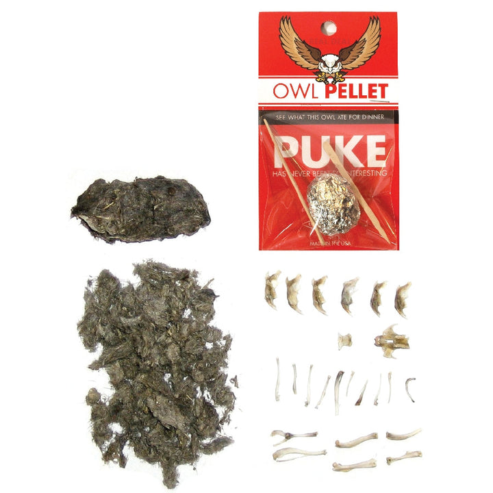 Science Kits: Owl Pellet
