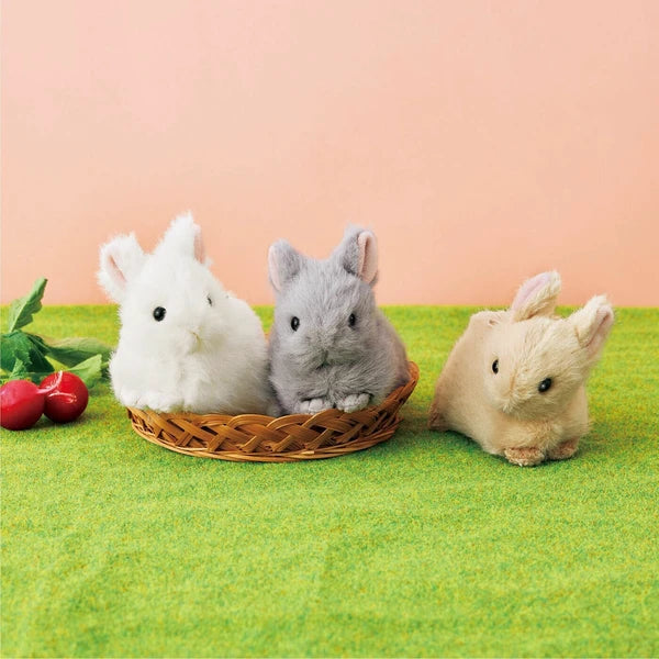 Pouch Bag Rabbit Holland Dwarf Rabbit Zipper Pouch Bag- Available in 3 Colors! – Shop ...