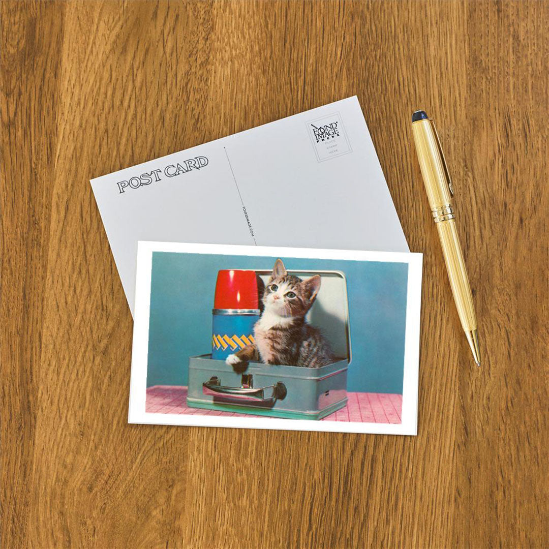 Postcard - Kitten in a Lunchbox