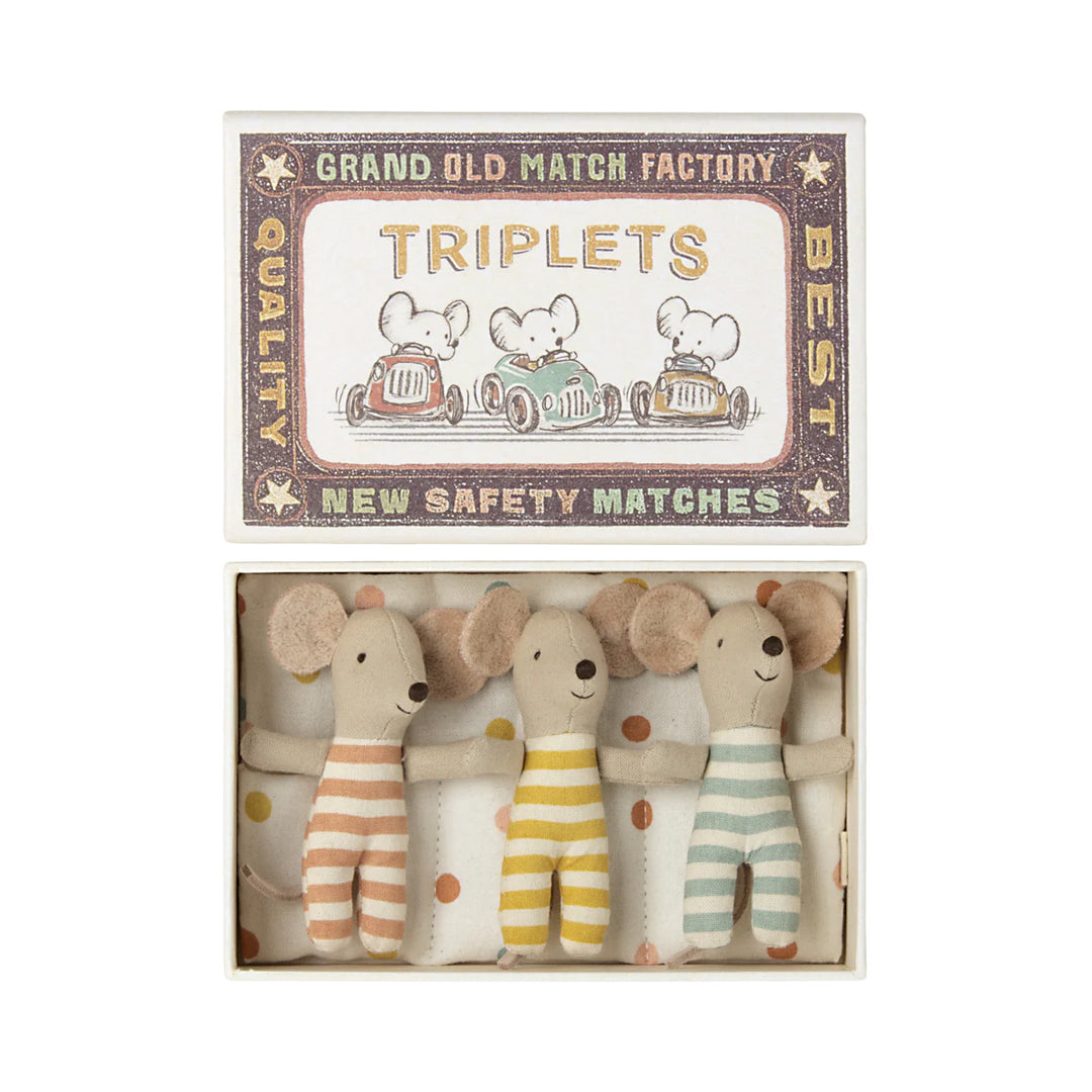 NEW Triplets Baby Mice in a Box