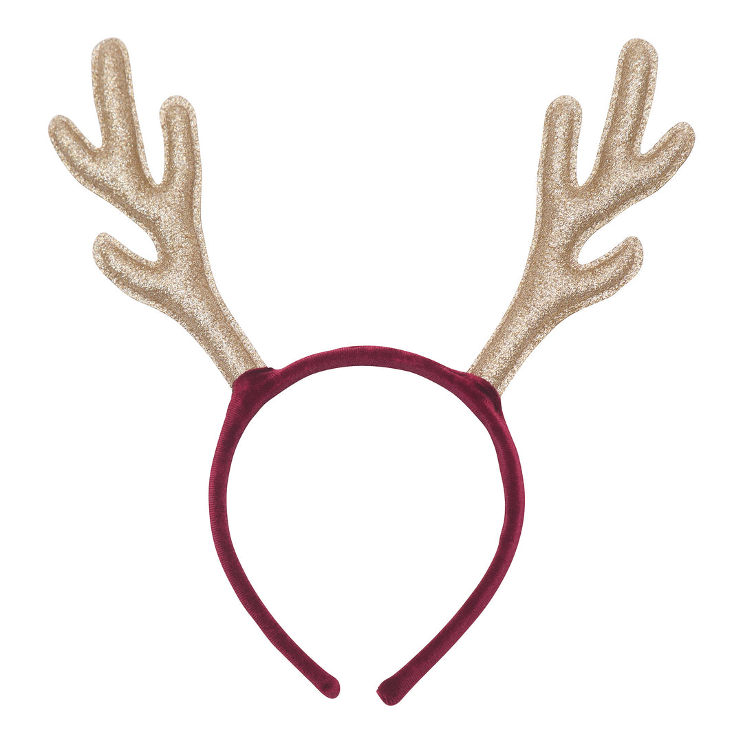 Reindeer Antlers