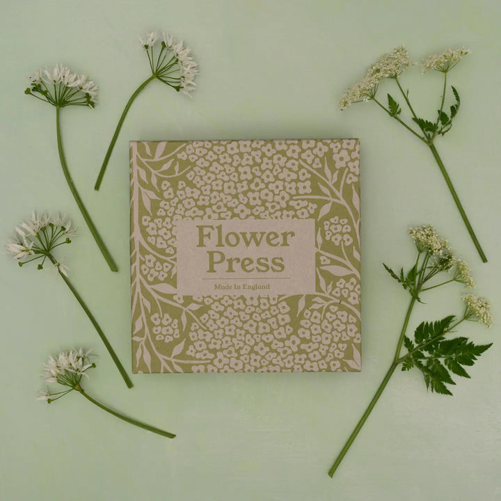 Wooden Large Flower Press Kit- Forget Me Not