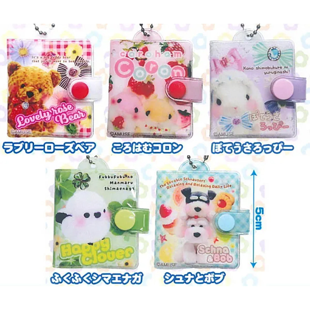 NEW Memories Sticker Book - Japanese Blind Capsule