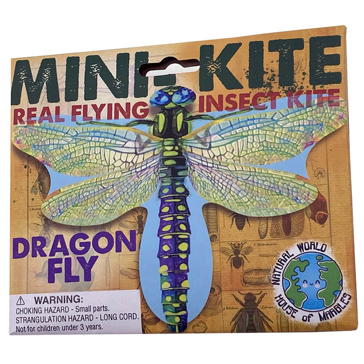 NEW Mini Flying Insect Kites - Three Types!