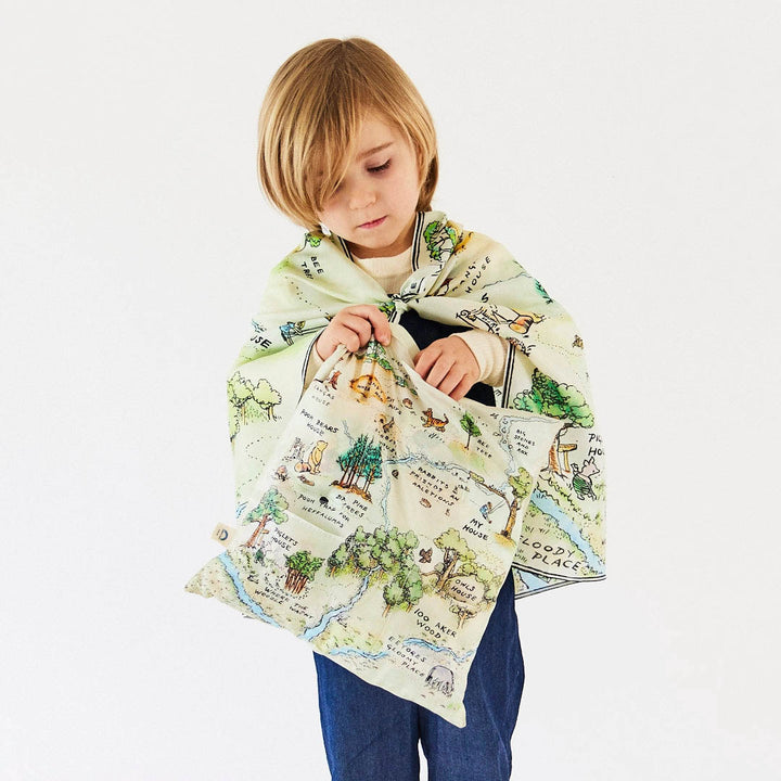 Winnie the Pooh Pillow