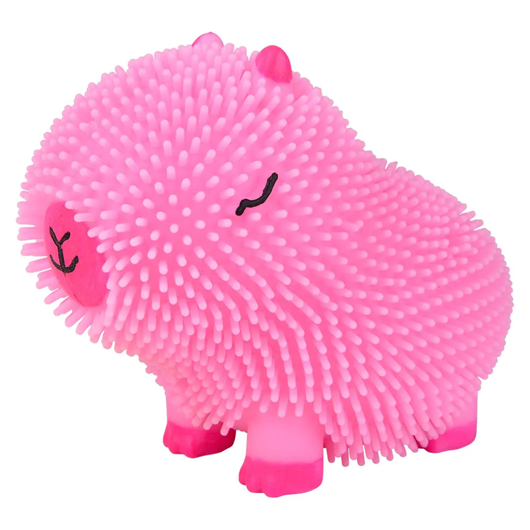 Capybara Colorful Puffer Squish Toy