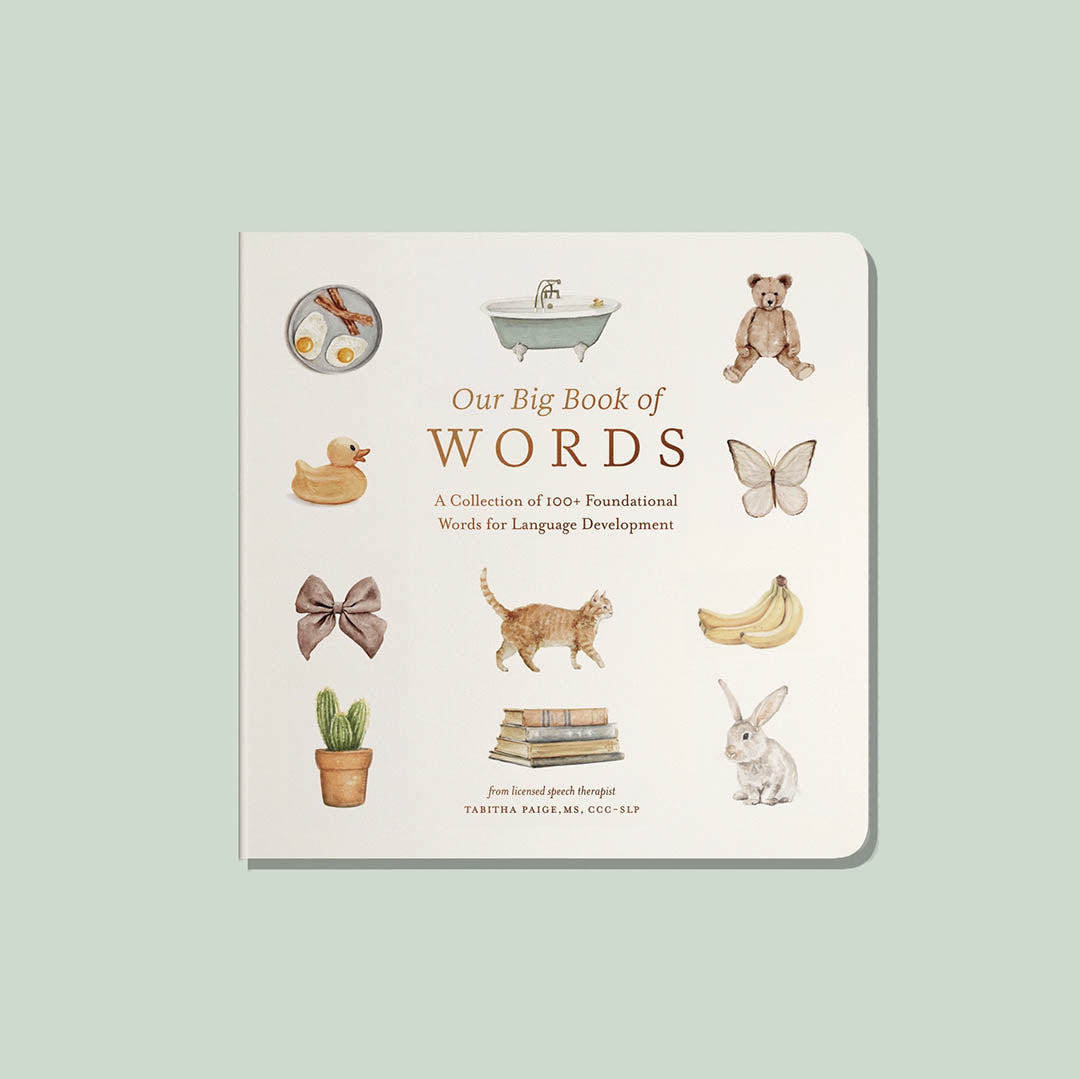 Our Big Book of First Words (Baby Board Book)