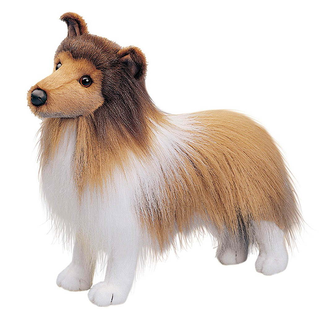 Dixie Sheltie Dog