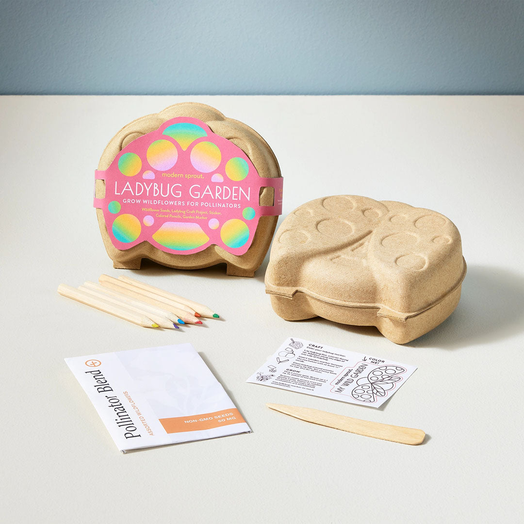 Curious Critters Activity Kit- Ladybug