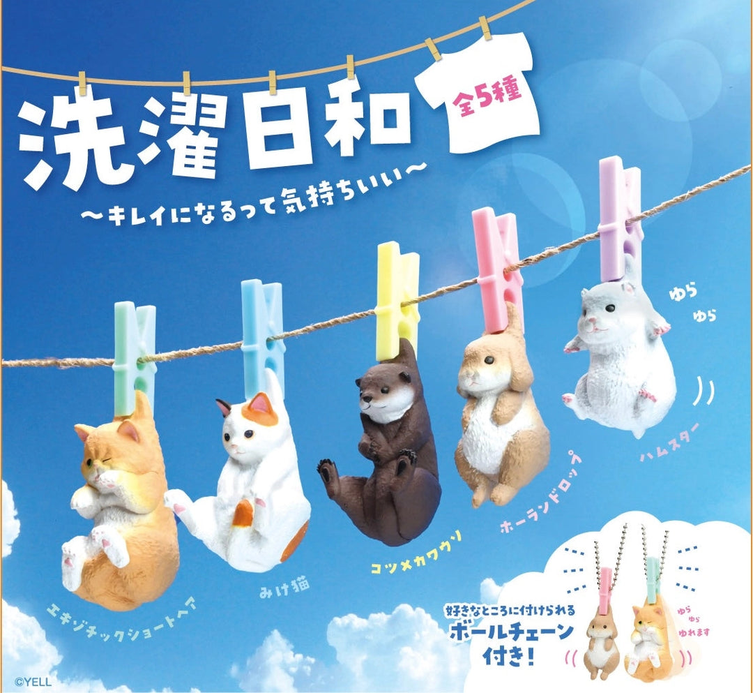 Japanese Blind Box- Air Dry Animals