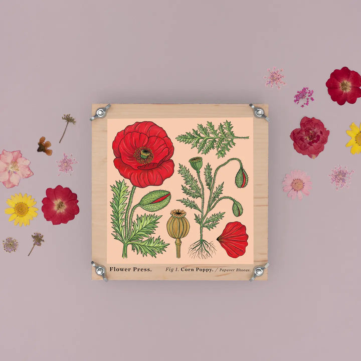 Wooden Large Flower Press Kit-Corn Poppy