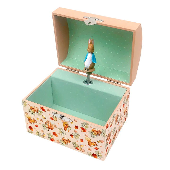 NEW Jewelry Music Coin Box-  Peter Rabbit© Hazelnuts